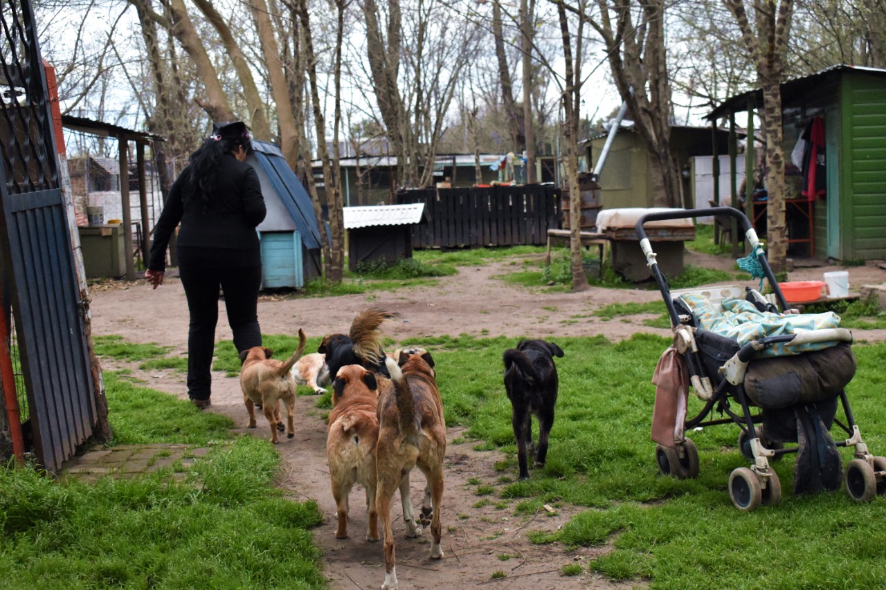 D A MUNDIAL DE LAS ZOONOSIS Agrupaci n De Frente